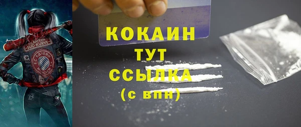 дмт Абаза