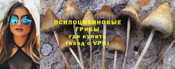 дмт Абаза