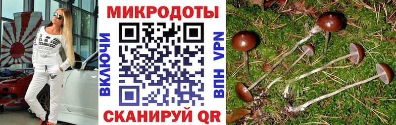 сколько стоит  Орёл  Галлюциногенные грибы Psilocybine cubensis 